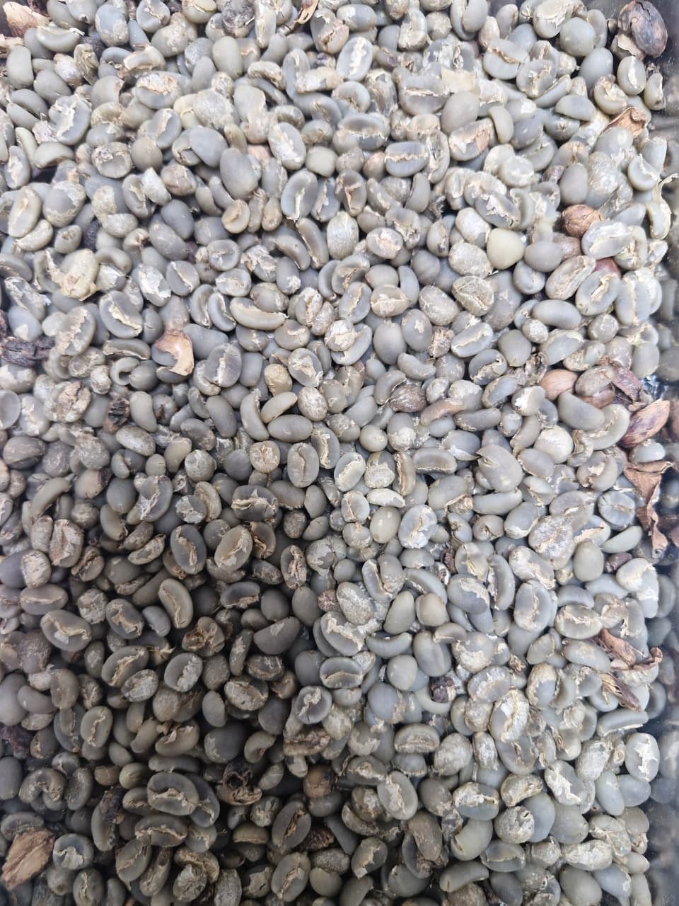 Sumatra Mandheling Arabica