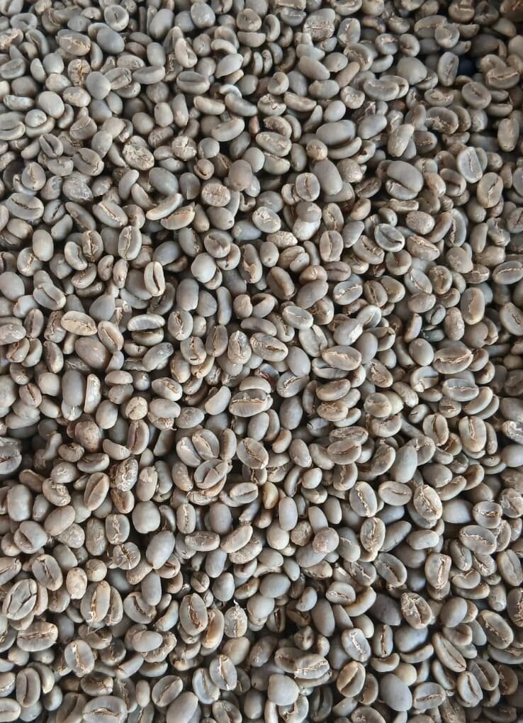 Toraja Arabica Semi Washed