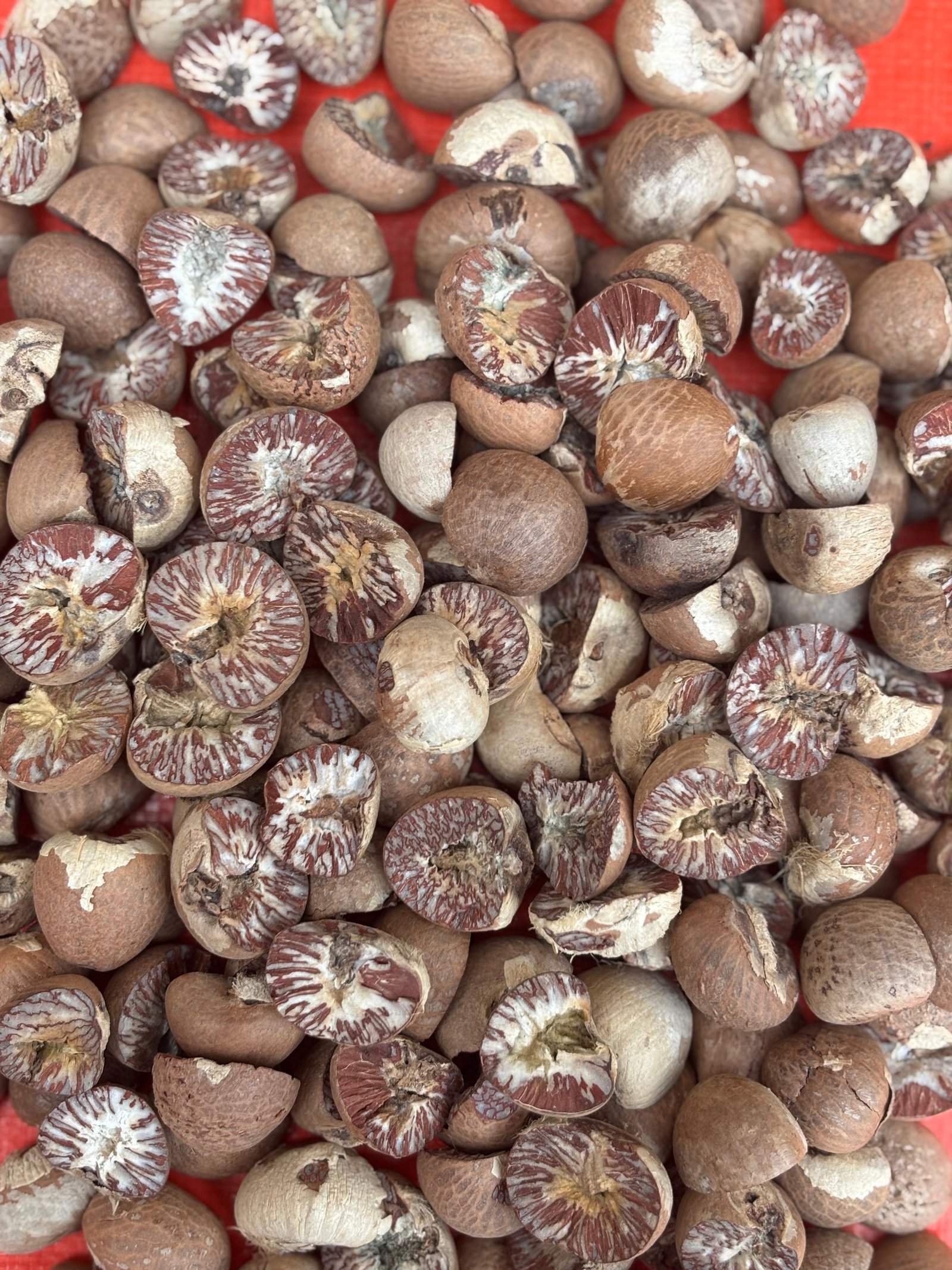 Areca Nut Grade 70/75
