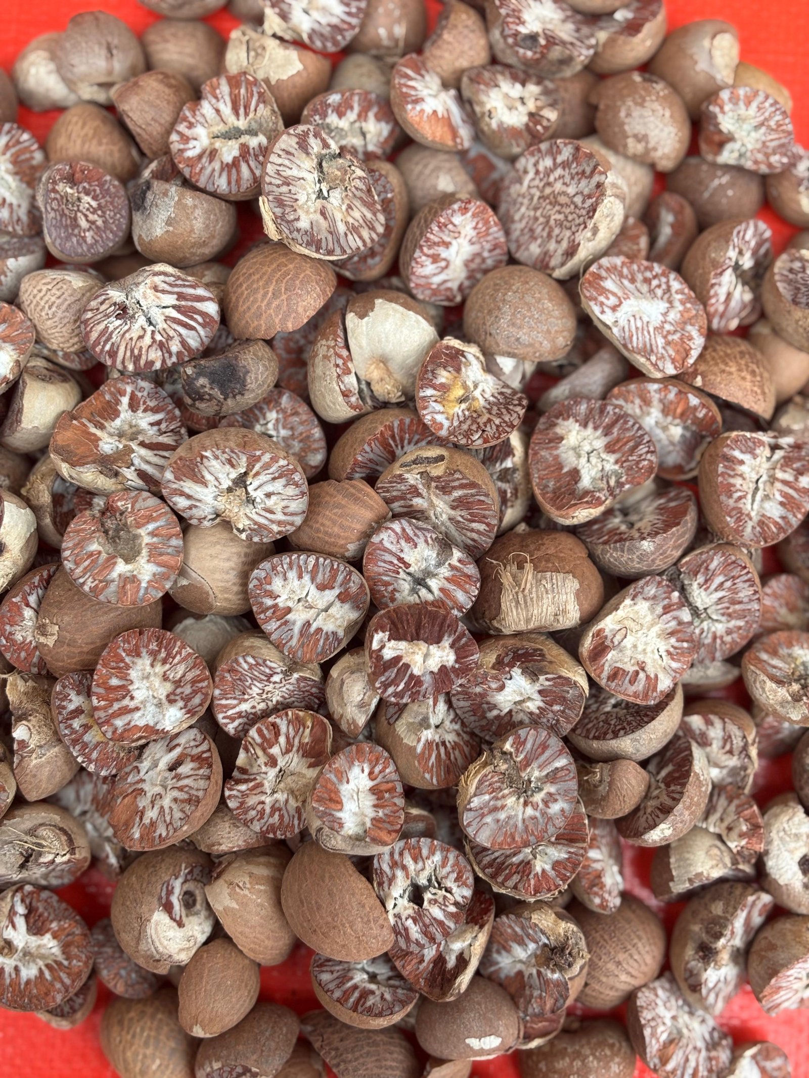 Areca Nut Grade 80/85