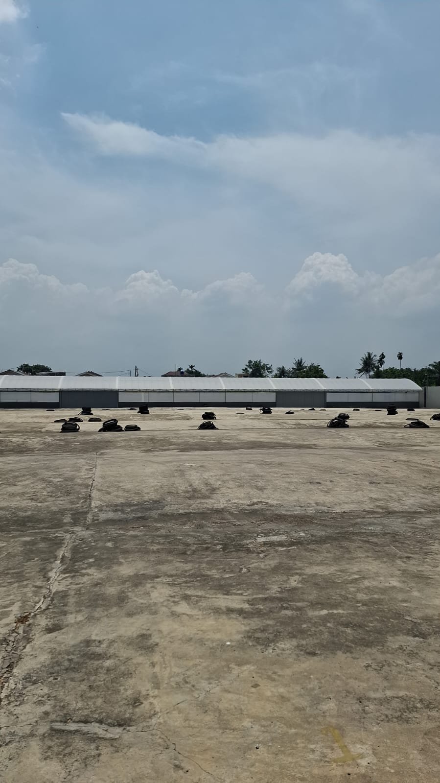 PT Biola Export Warehouse & Processing Facility